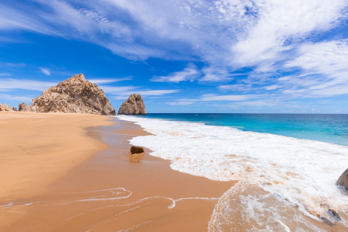 Dengue Fever In Los Cabos Everything Travelers Need To Know The