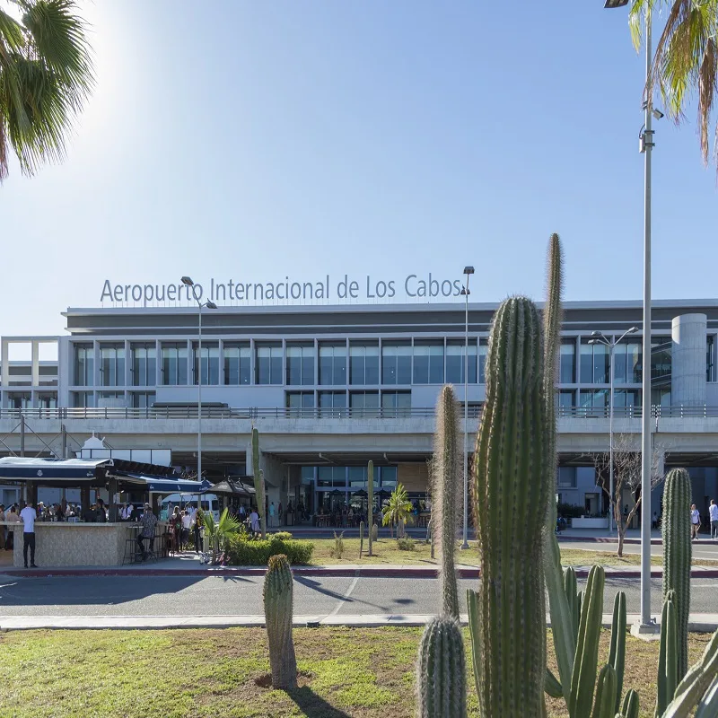 Cacti and People in Front of Los Cabos International Airport