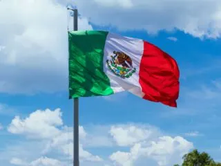 Mexican Flag