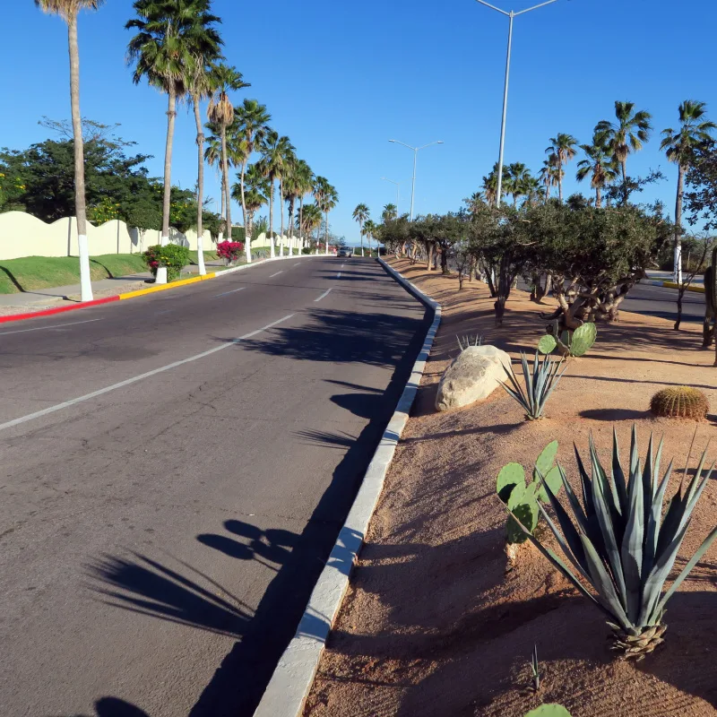 road in los cabos