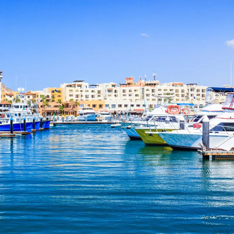 boats in Marina