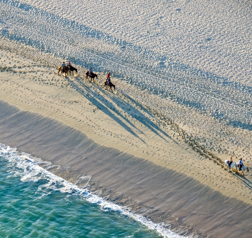 Aerial view of four people horse riding along the beach in Cabo San Lucas 