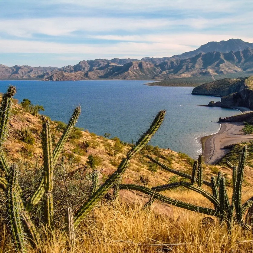 Desert landscape above bay near Los Cabos