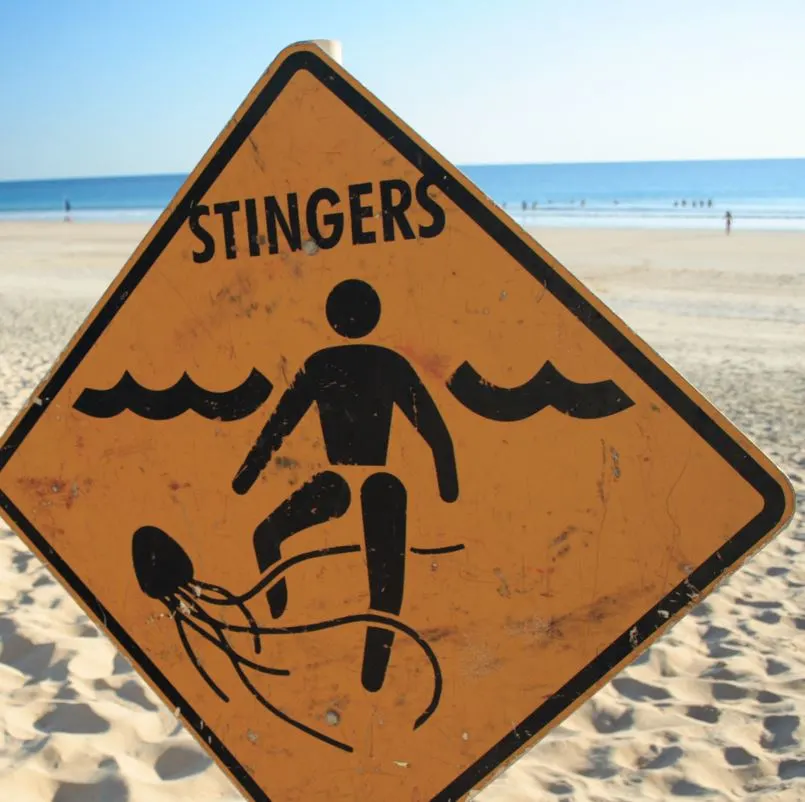 Jelly Fish Stings Warning Sign