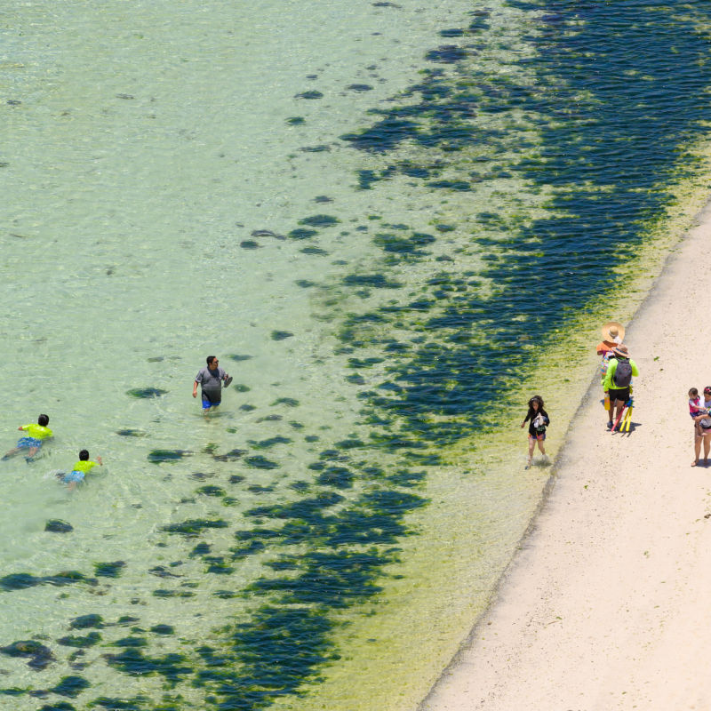 Family swimming at balandra beach