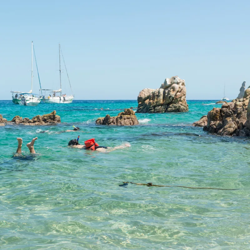 people snorkeling