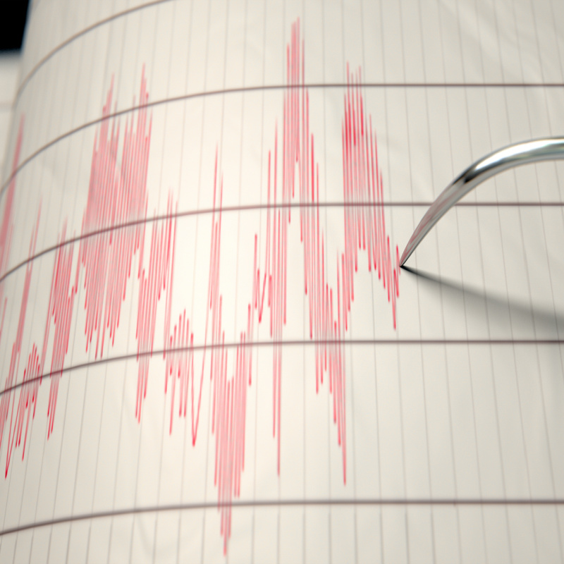 seismograph activity