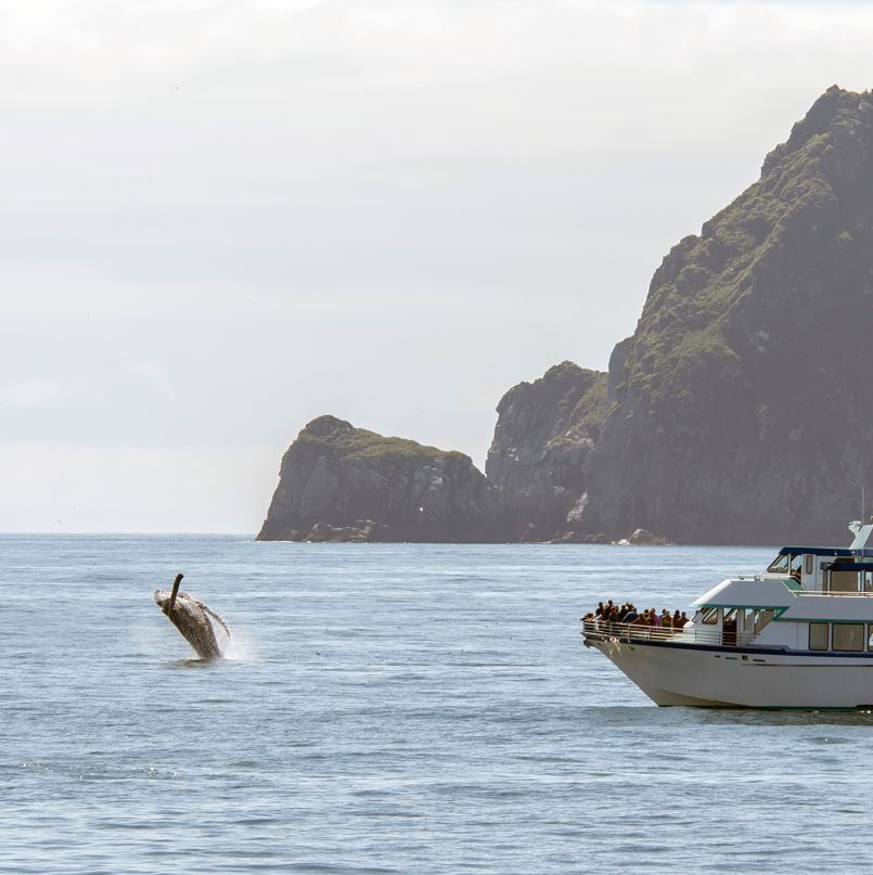 people in boat whale watching