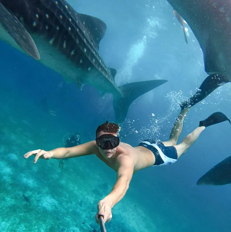 Diver taking a selfie with a whale shark