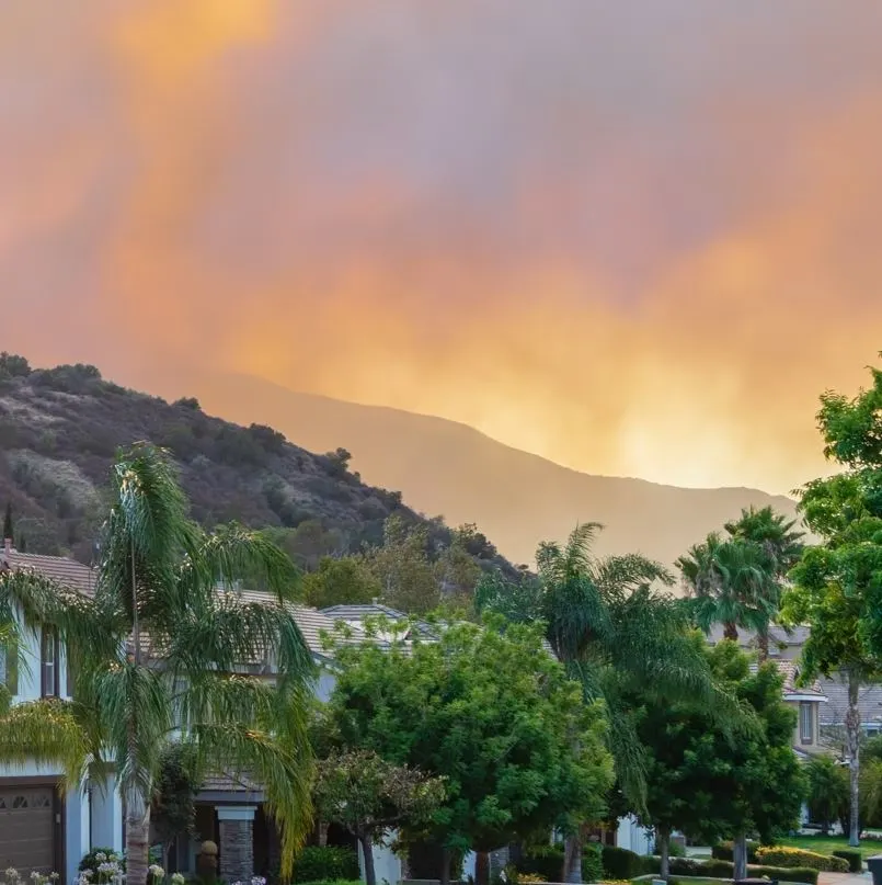 Wildfire in residential area