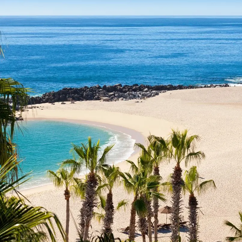 Beach with palm trees