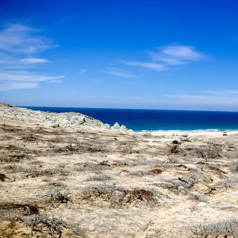 Desert and beach near Los Cabos