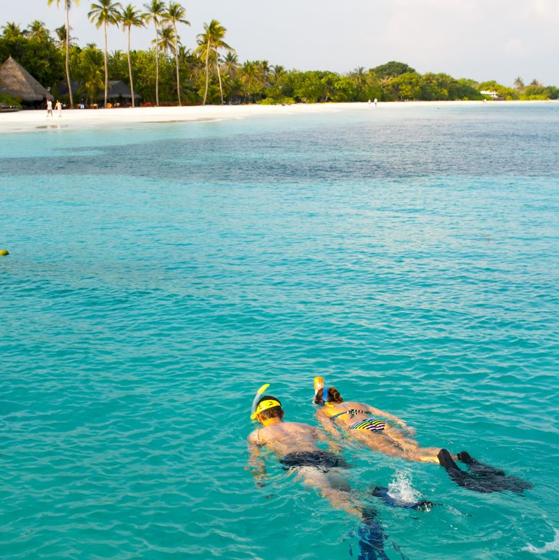 Couple swimming alone in blue waters with plam trees and beach in the background