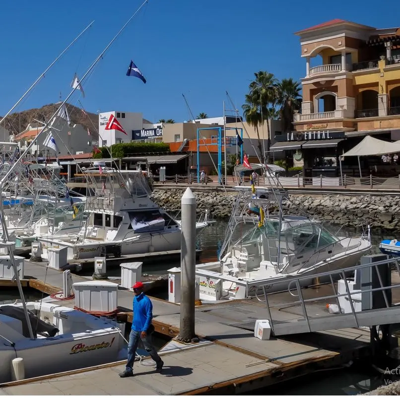 Los Cabos Marina