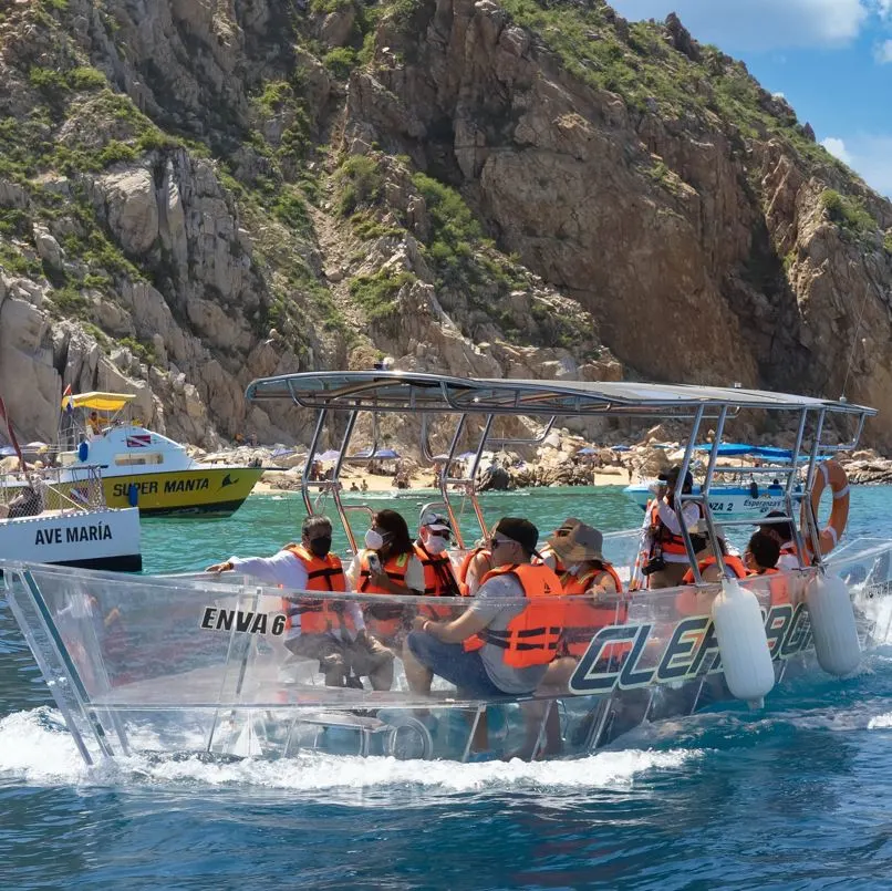 Passengers watching whale on boat