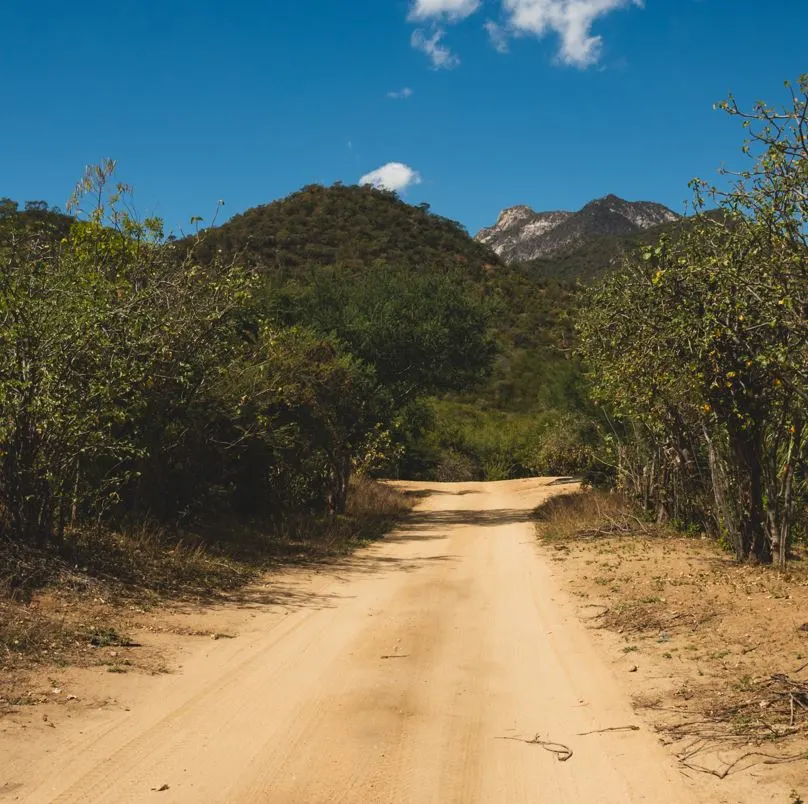 Rural Road in Los Cabos