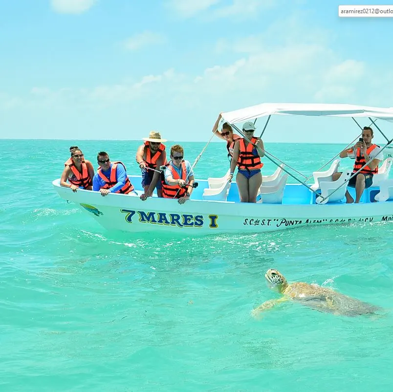 Tourist boat watching sea turtles in ocean