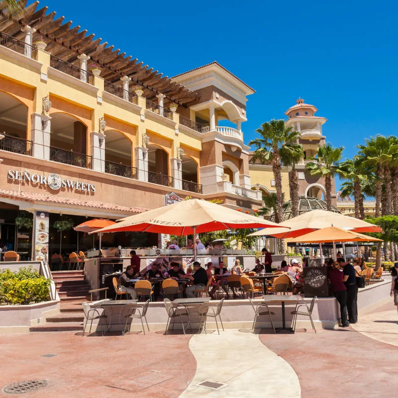 Why Los Cabos Is Becoming A Destination For Foodies - The Cabo Sun