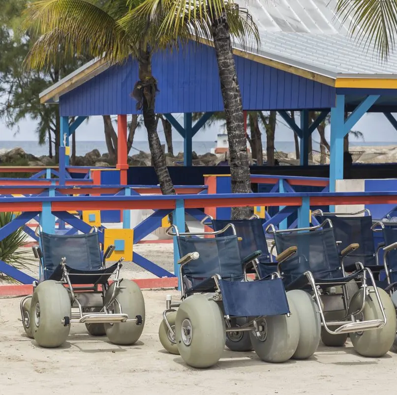Beach wheelchairs with palm trees