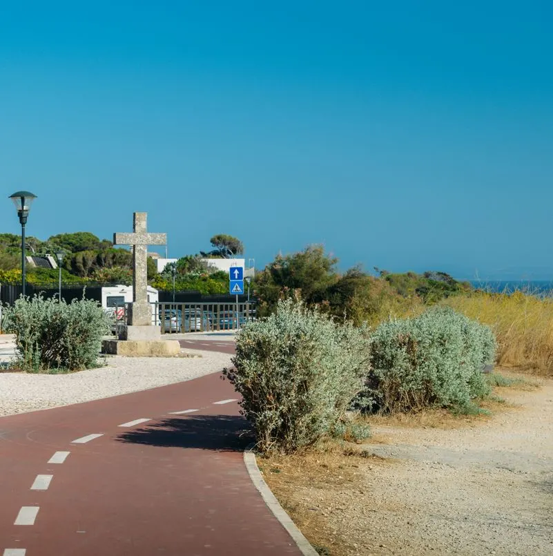 Bike lanes near the ocean