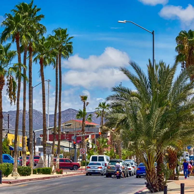 cars at a traffic light in Los Cabos