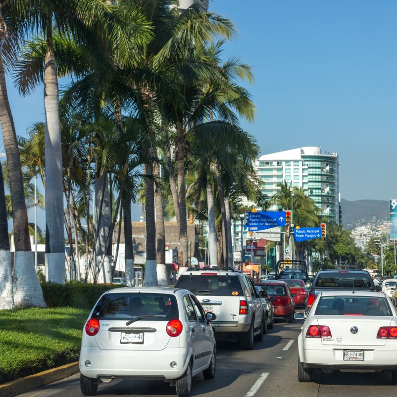 Traffic buildup on road with palm trees