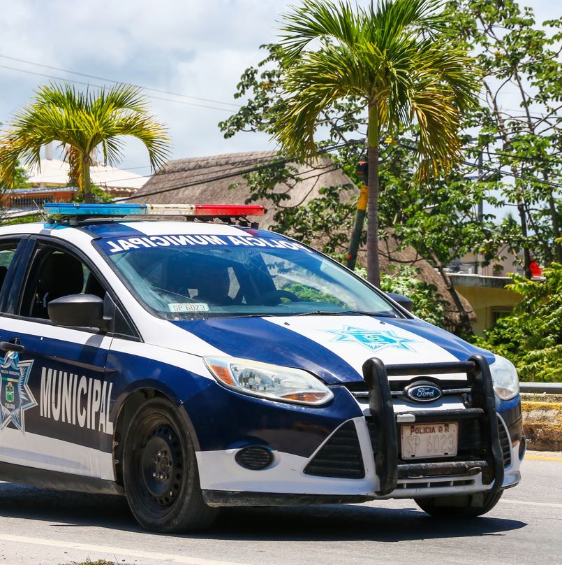 Police car on the street with palm trees