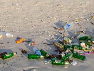Cabo Officials Are Asking Tourists To Stop Leaving Garbage On Beaches