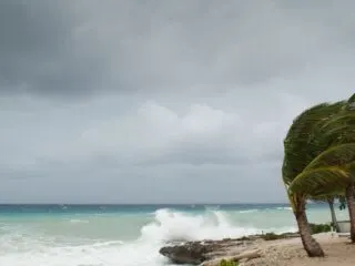 Effects Of Hurricane Blas Felt In Los Cabos