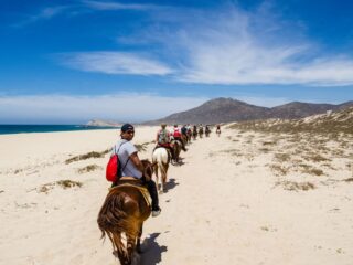 Los Cabos Has The Most Certified And Best Tour Guides In Mexico