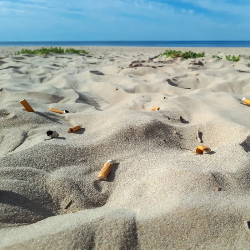 Cigarette butts on beach