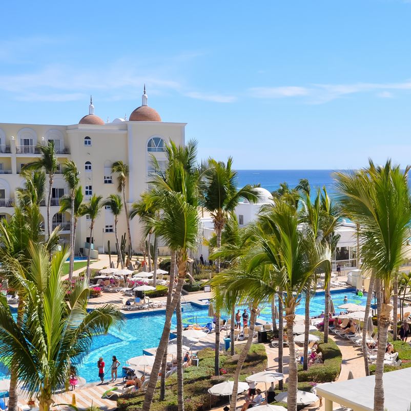 Beautiful resort pool filled with tourists in Los Cabos with palm trees in the foreground.