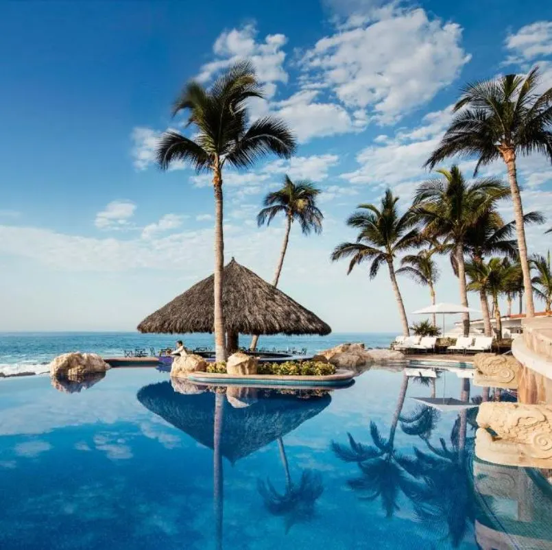 Infinty pool near the ocean with palm trees