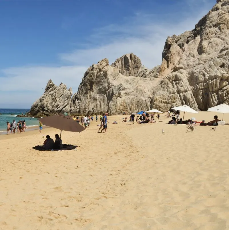 Beach filled with people in the water and under umbrellas