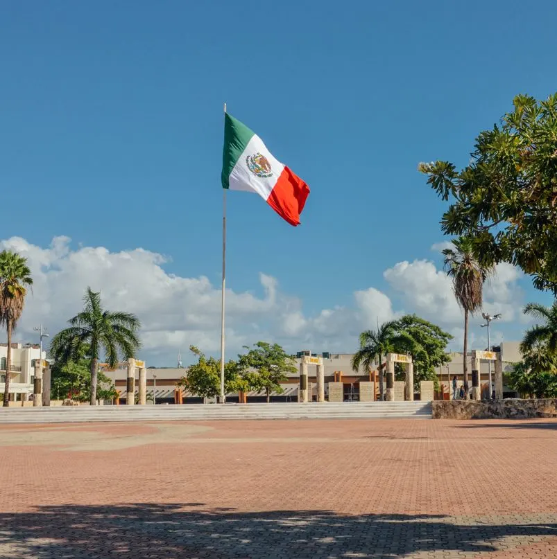 Mexican flag hanging in city center with palm trees