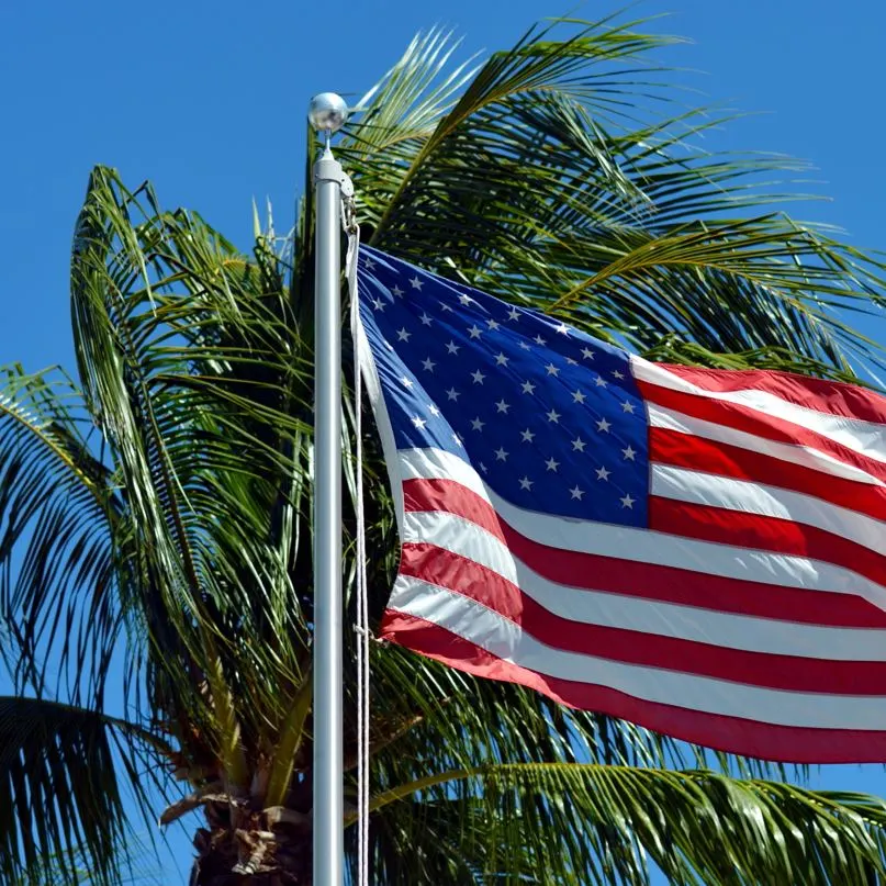 American flag hanging near palm trees