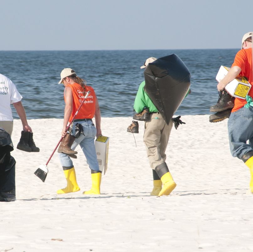 Beach cleanup crew