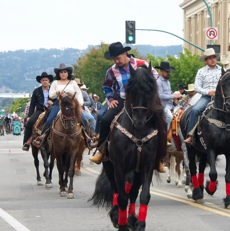 Traditional Vaqueros riding horses in a parade