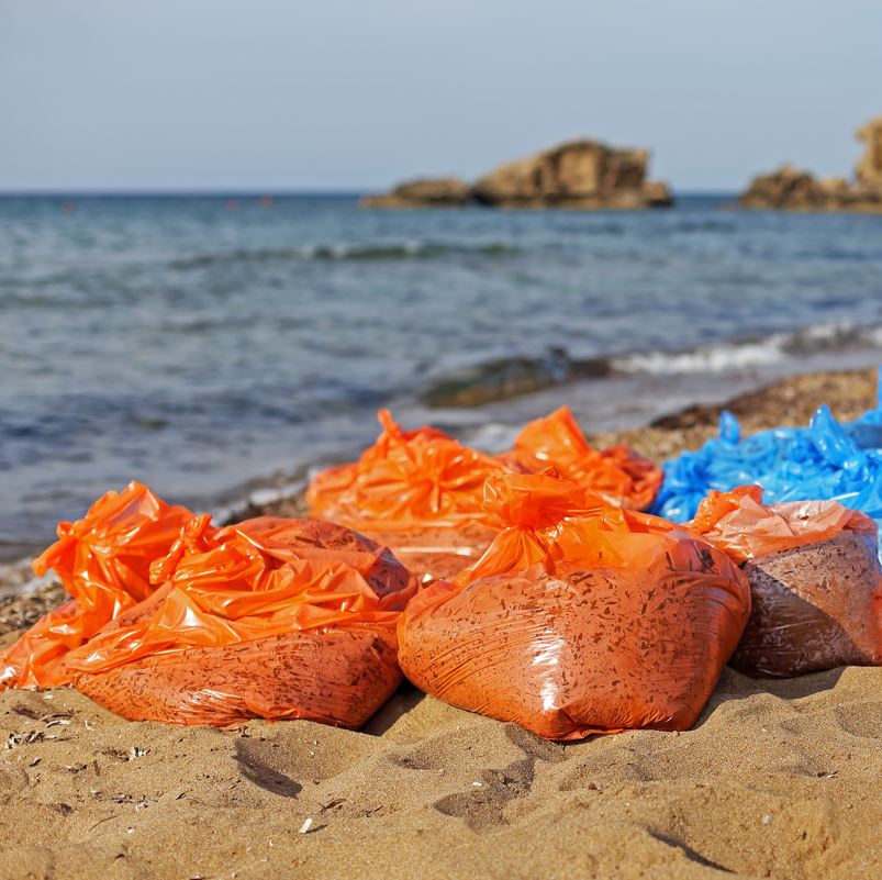 Bags of trash on the beach