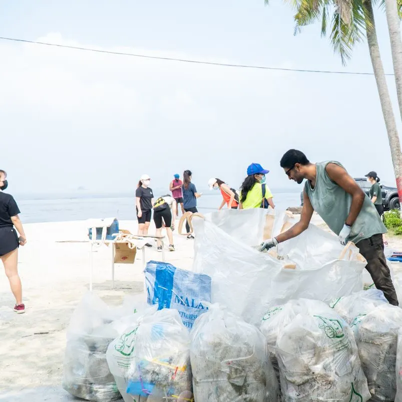 Volunteers cleaning a local beach of trash