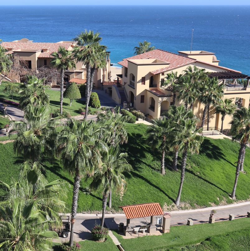 Beachfront villlas surrounded by palm trees
