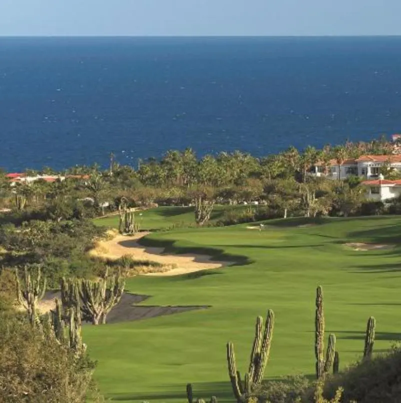 Golf course near the ocean and palm trees