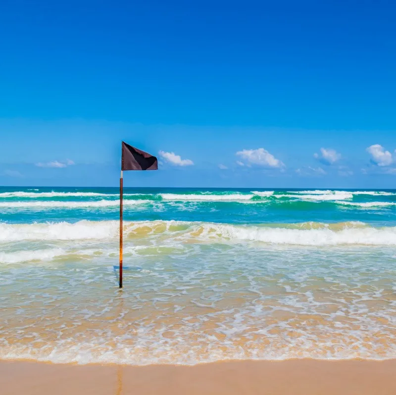 Black Flag on Beach