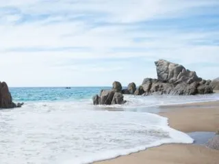 Cabo Beaches Guaranteed Clean For Tourists Or Will Be Closed