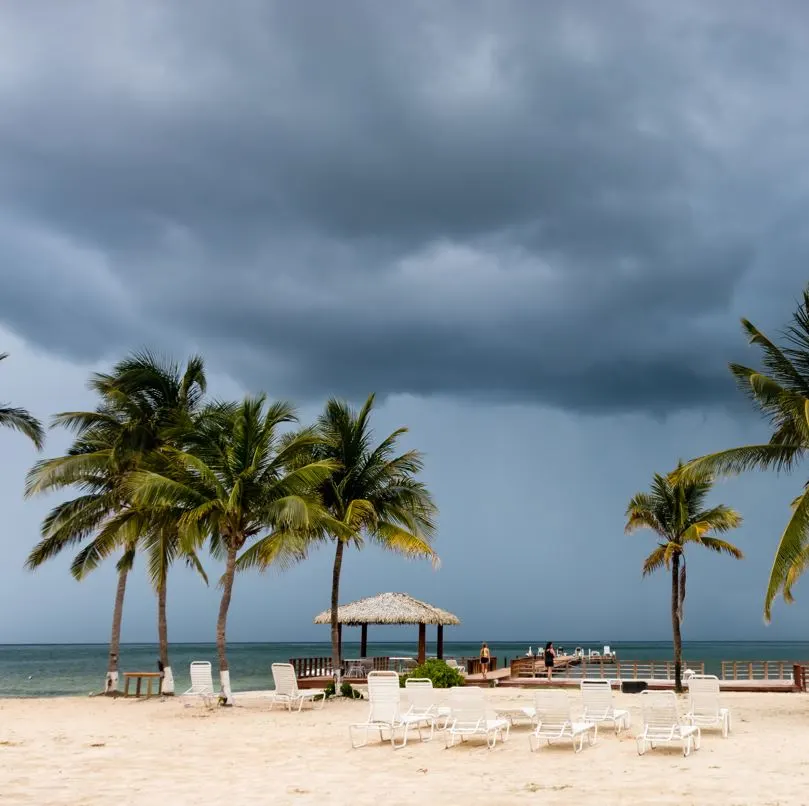 Beach with palm trees and gray skies