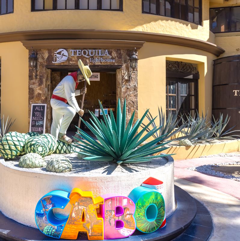 Cabo sign in front of a restaurant with agave