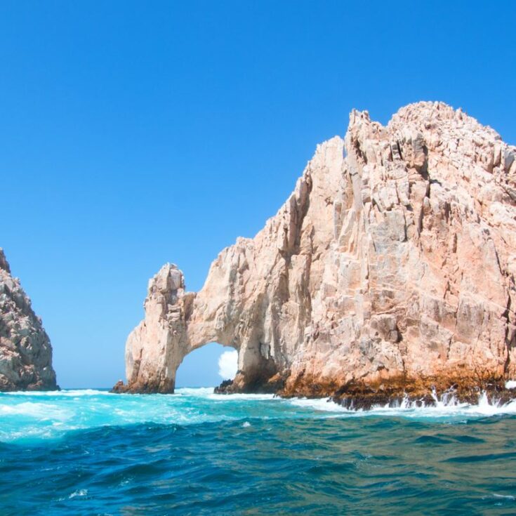 Los Cabos’ Newest Wild Whale Expedition - The Cabo Sun