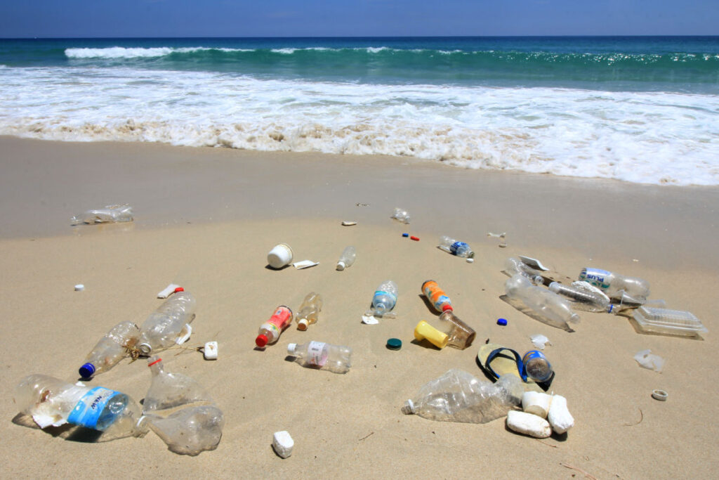 Los Cabos Cracks Down On Tourists Littering On Beaches