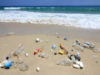 Los Cabos Cracks Down On Tourists Littering On Beaches