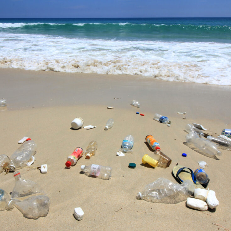 Los Cabos Cracks Down On Tourists Littering On Beaches - The Cabo Sun